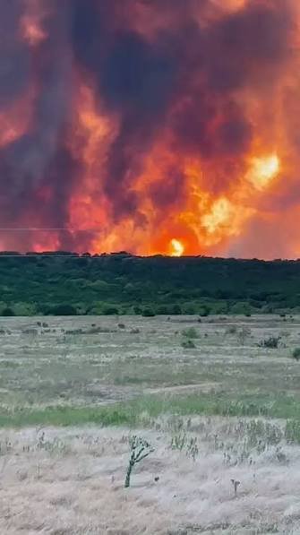 Incendio Ross devasta más de 50 mil acres en el norte de Texas con apenas un 12 % de contención